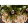 Триумф ель TRIUMPH TREE, Женева с шишками, 200 см, заснеженная 72103